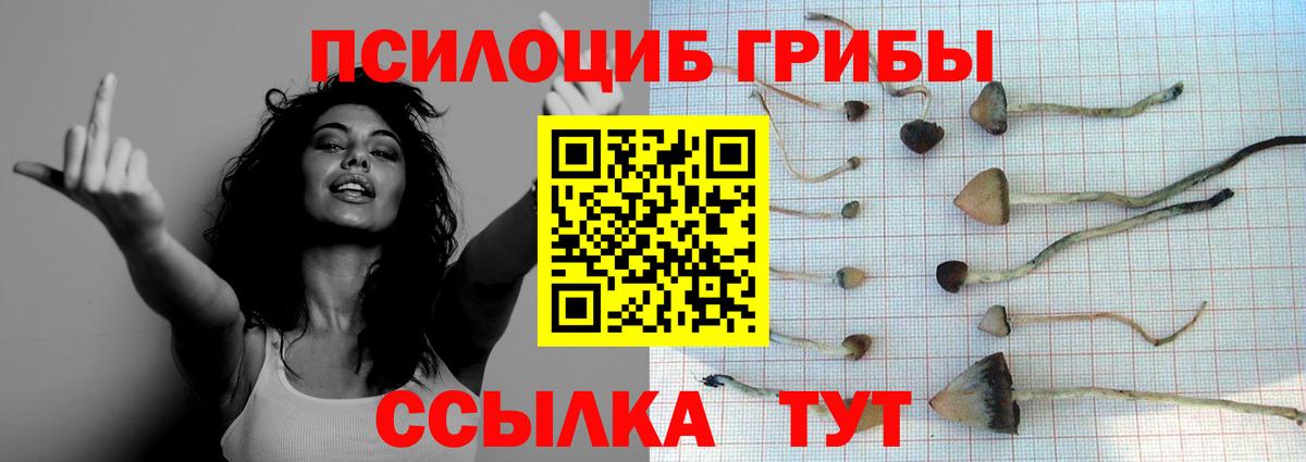 Галлюциногенные грибы MAGIC MUSHROOMS  Вход с VPN  Псилоцибиновые грибы GOLDEN TEACHER  Дивногорск 