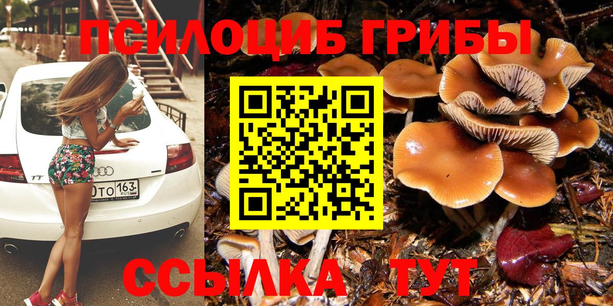 Псилоцибиновые грибы Magic Shrooms Дивногорск